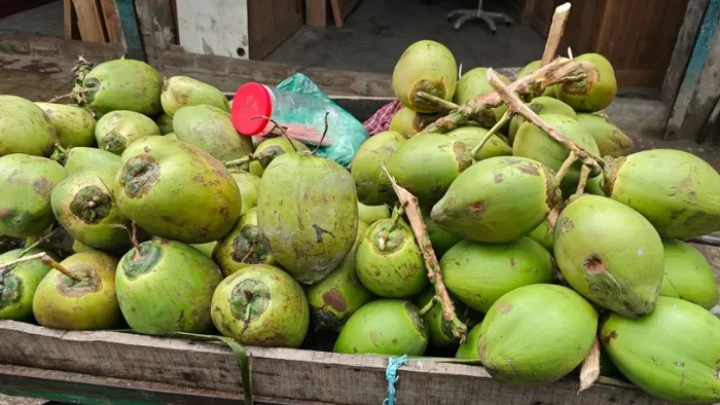 ছবি: সংগৃহীত।