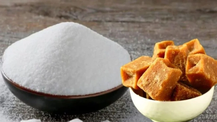 ছবি: সংগৃহীত।