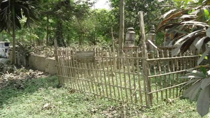 ছবি: সংগৃহীত।